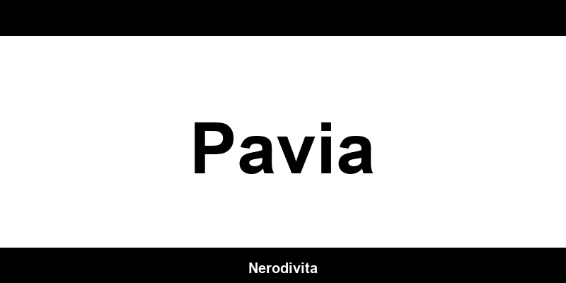 Telefono dei negozi Bershka a Pavia