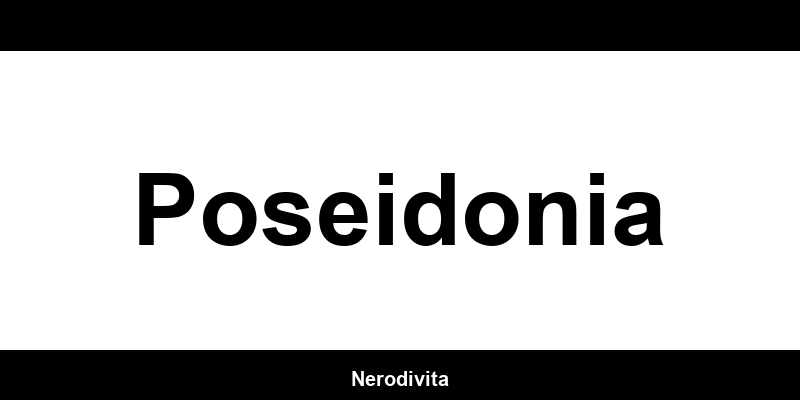 Telefono dei negozi Bershka a Poseidonia